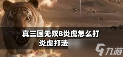 真三国无双8游戏里怎么打炎虎 炎虎打法攻略