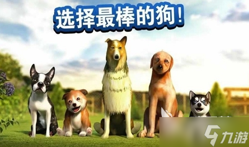 2022小狗模拟器游戏下载 小狗模拟器游戏下载渠道