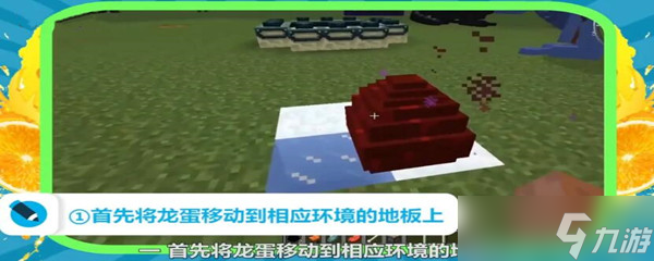 我的世界龙蛋怎么快速孵化-龙蛋快速孵化方法