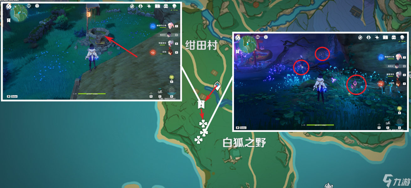 《原神》2.8鸣草收集路线怎样 鸣草采集线路图分享