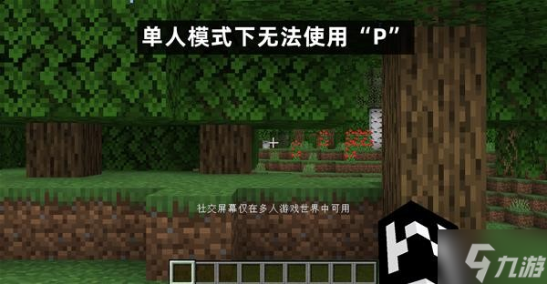 《我的世界》1.19.1版本更新介绍 1.19.1版本新增内容