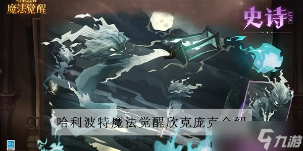 哈利波特魔法觉醒欣克庞克介绍
