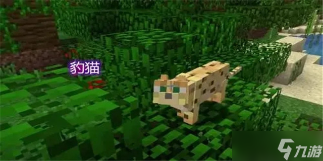 我的世界豹猫怎么驯服