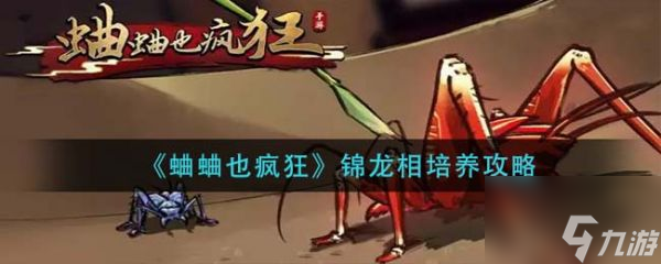 蛐蛐也疯狂锦龙相怎么培养 锦龙相培养攻略