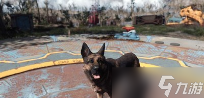 辐射4怎么才能打开背包 背包打开方法介绍