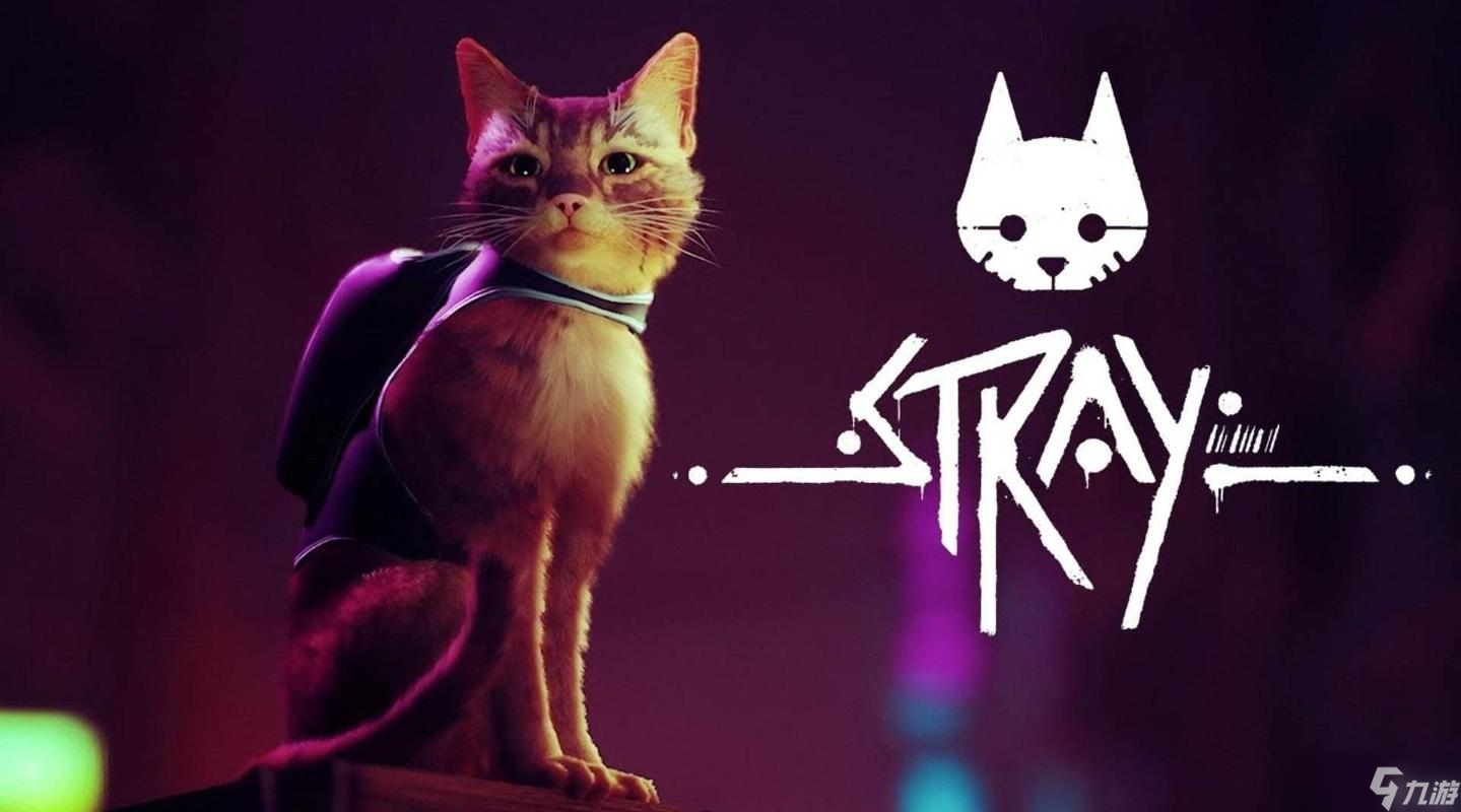 《stray》保險(xiǎn)箱密碼匯總