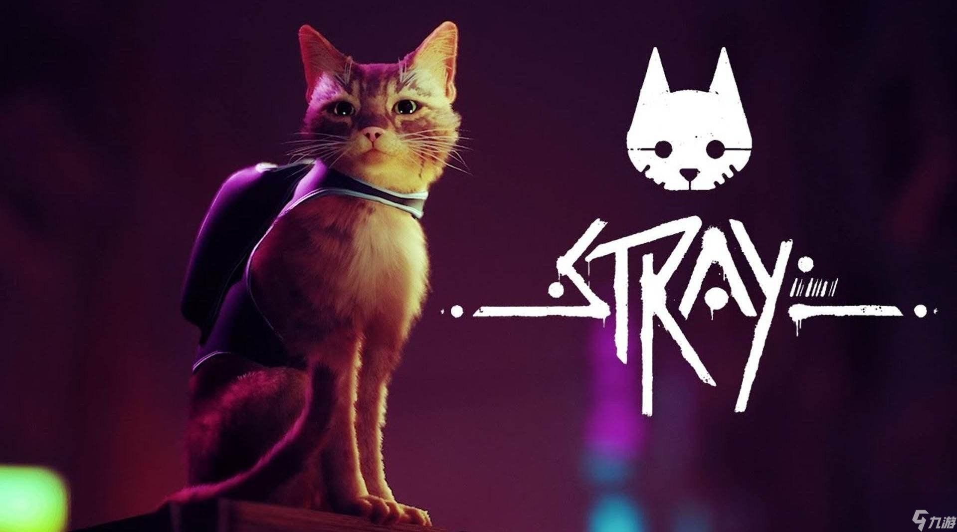 《stray》保險箱密碼匯總