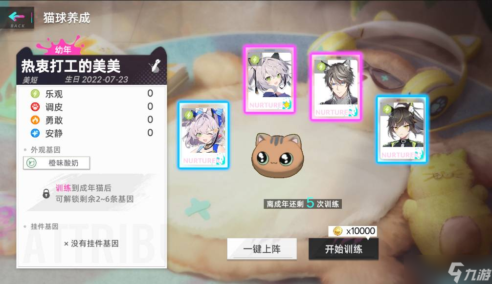猫之城猫球怎么训练