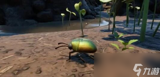 Grounded0.12版本更新的昆虫有哪些