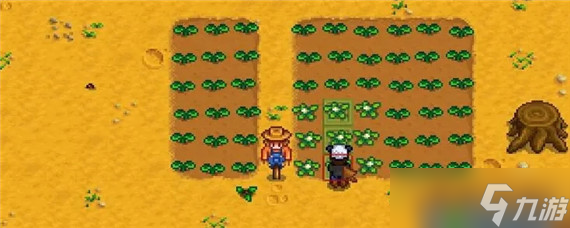 星露谷物语稻草人范围是多少