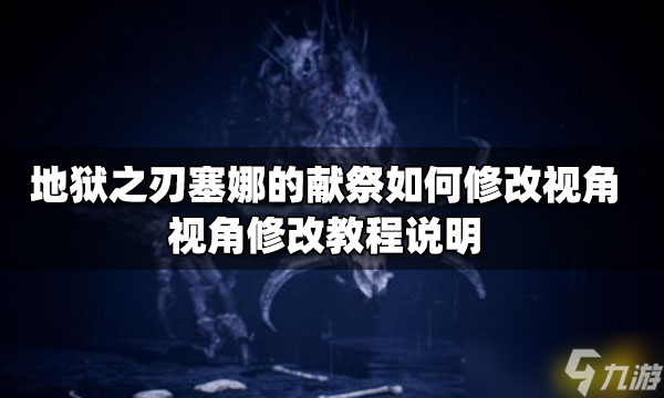 《地狱之刃塞娜的献祭》如何修改视角 视角修改教程说明