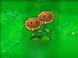 植物大战僵尸双子向日葵怎么用