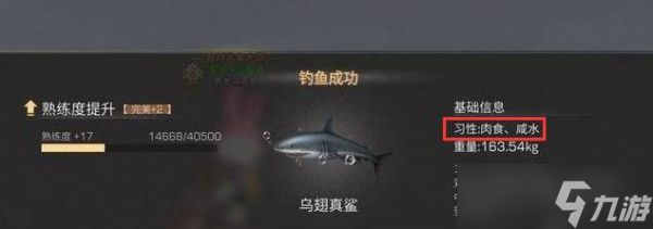 《明日之后》烏翅真鯊怎么釣？烏翅真鯊釣法攻略