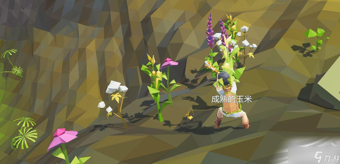 《艾兰岛》出生岛植物介绍