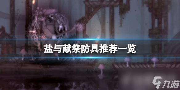 《盐与献祭》防具推荐一览 防具饰品选什么?