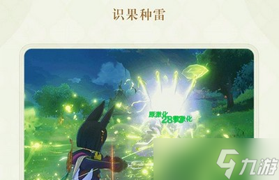 原神提纳里强度预测有多少 提纳里强度介绍