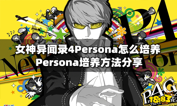 怎么培養(yǎng)女神異聞錄4Persona Persona培養(yǎng)方法