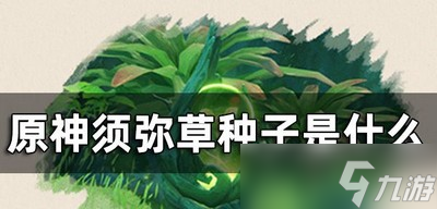原神須彌草種子是做什么的 種子作用介紹