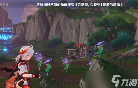 原神须弥蔷薇怎么看