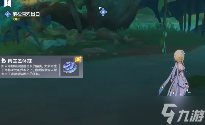 原神正法炬书任务怎么做