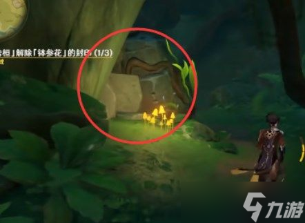 《原神》钵参花的封印解除攻略