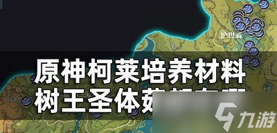 原神樹王圣體菇是按照什么收集路線一覽 樹王圣體菇位置介紹