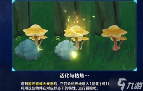 原神枯萎的星蕈获取方法 须弥星蕈位置一览