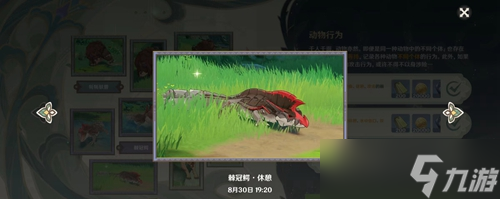 《原神》动物行为一览