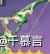 《原神》提纳里武器与圣遗物推荐 提纳里队伍搭配分享