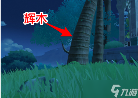 《原神》业果木采集路线一览