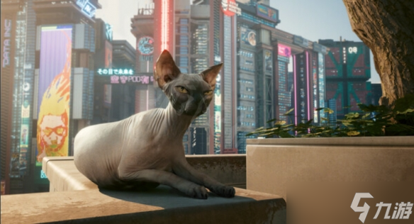 《赛博朋克2077》1.6版本更新了什么？1.6版本更新内容介绍
