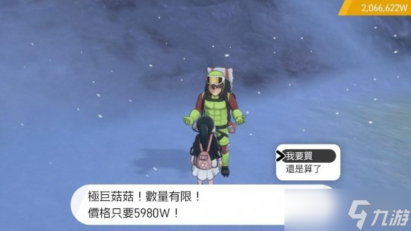 《宝可梦剑盾》雪中溪谷瓦特商店物品有什么？雪中溪谷瓦特商店物品一览