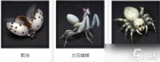 《小小蚁国》野外生物介绍