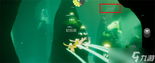 光遇雨林小金人全部位置