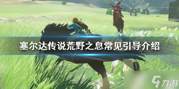 《塞尔达传说荒野之息》常见引导有哪些？常见引导介绍