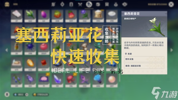 《原神》塞西莉亚花采集路线推荐