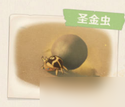 《原神》须弥沙漠生物及特产一览