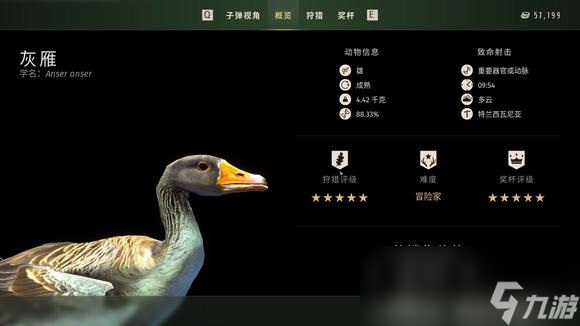 狩猎之道五星灰雁怎么捕猎