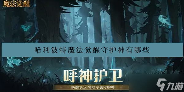 哈利波特魔法覺醒守護神有哪些