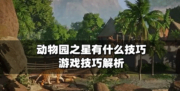 动物园之星玩法技巧是什么 游戏技巧解析