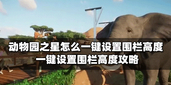 動(dòng)物園之星圍欄高度怎么一鍵設(shè)置 一鍵設(shè)置圍欄高度方法