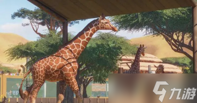 動物園之星新手是如何玩游戲的 新手玩法攻略