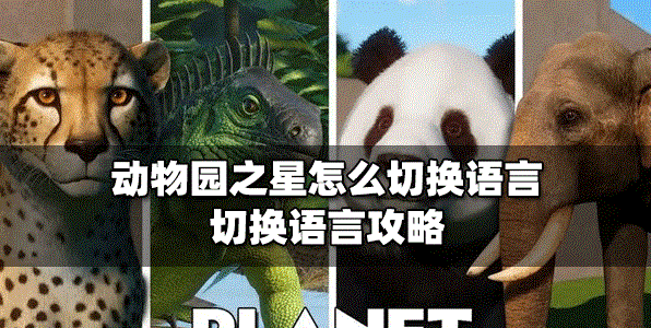 動(dòng)物園之星語言怎么切換 切換語言方法