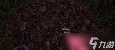 中世纪王朝种地是怎么操作的 种地方法详解