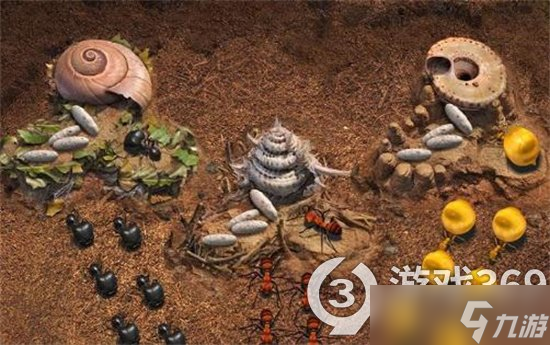《小小蚁国》兵种如何孵化？有兵种孵化攻略