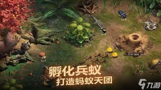 小小蚁国怎么加好友
