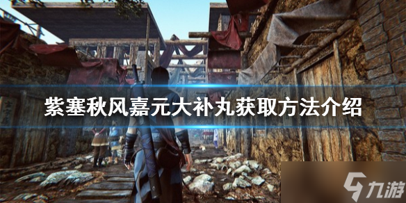 《紫塞秋风》嘉元大补丸怎么获取 嘉元大补丸获取方法