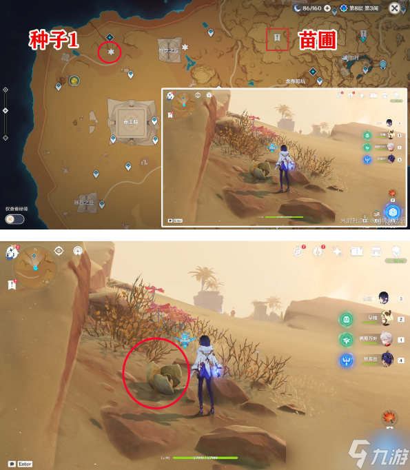 原神献给某人的蔷薇后续任务攻略
