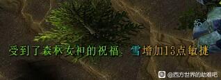 西方世界的劫难6逝者的追忆支线攻略 追忆之物获取大全