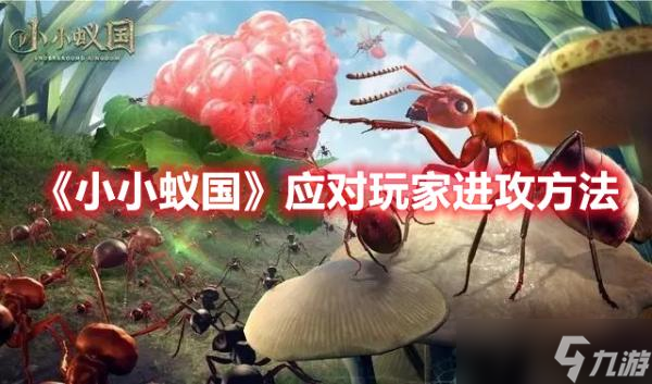 《小小蚁国》应对玩家进攻方法介绍